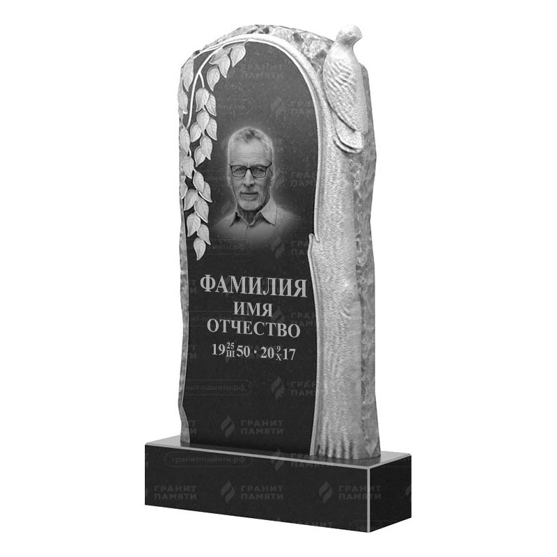 Гранитные памятники в&nbsp;Оренбурге | Гранитный памятник ФГ-206